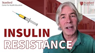 What is insulin resistance Why does it happen Dr Christopher Gardner [upl. by Ramed]