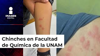 ¿Chinches en Facultad de Química de la UNAM se las llevaron del Metro CDMX [upl. by Lawan546]