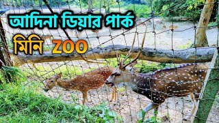 Adina Forest Malda  Adina Deer Park  আদিনা ফরেস্ট ভ্রমণ  Tour With Raghu [upl. by Lundin129]