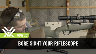 How To Bore Sight Your Rifle [upl. by Ahsetal]