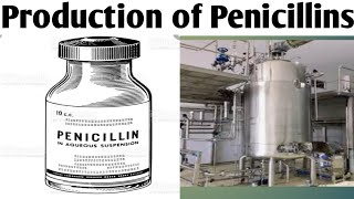 Production of Penicillin Biotechnology Unit 5  B Pharm 6 Sem productionofpenicillins [upl. by Cookie]