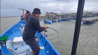 25102024 Trip Mancing at Sangkar Sungai Udang Penang [upl. by Rekrap]