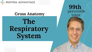 Gross Anatomy The Respiratory System  MCAT Crash Course [upl. by Lleksah]