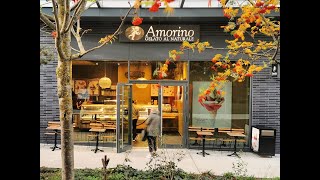 Amorino  Europes largest gelato franchise [upl. by Toby]