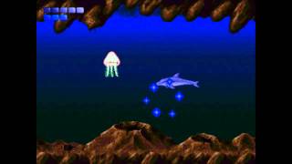 Ecco the dolphin  stage 22 pteranodon pond [upl. by Atsirc549]