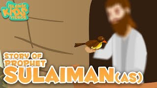 Prophet Stories In English  Prophet Sulaiman AS Story Stories Of The Prophets  Quran Stories [upl. by Airdnaid]