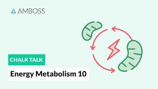 Energy Metabolism  Part 10 Gluconeogenesis Reactions with molecular structures [upl. by Neufer]