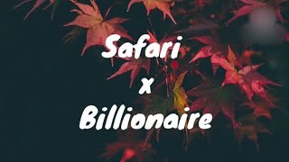 Sarena x Otilia  Safari x Billionaire  Lyrics video [upl. by Leeann]