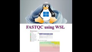 How to use Fastqc on WSL system and Linux [upl. by Heim]