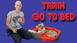 The EASIEST way to train your puppy to go to his bed  Dog training [upl. by Garnet443]