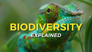 What is Biodiversity  Eco Facts  One Tree Planted [upl. by Ecyla813]