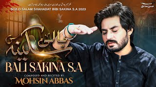 Bali Sakina sa  Noha Bibi Sakina sa  Mohsin Abbas  New Noha 2023  13 Safar 1445 [upl. by Bergeron]