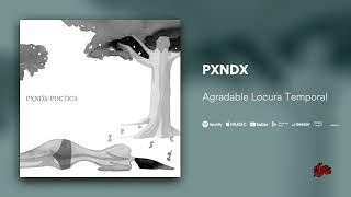 PXNDX  Agradable Locura Temporal [upl. by Rosinski]