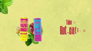 Gut Health Made Delicious  Functional Probiotic Sodas with Pomegranate amp Yuzu [upl. by Ansilma]