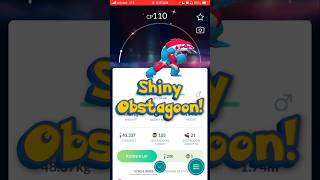 Shiny Obstagoon Evolved in Pokemon Go From Galarian Zigzagoon pokemoncollector shinyhunting [upl. by Duck]