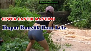 Mancing Ikan Lele Ketika Sungai Sedang Banjir [upl. by Ahsercel]