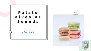 palatoalveolar sounds phonemes s amp z [upl. by Mercola805]