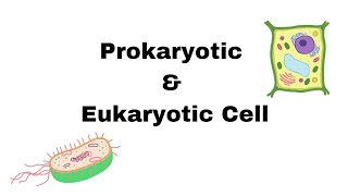 Prokaryotic Cell amp Eukaryotic Cell  Type of Cell 📚📖📖📖 bpharma medical nursing [upl. by Amadas878]