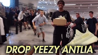 WESZLIŚMY TYLNYM WEJŚCIEM DO VITKACA  DROP YEEZY ANTLIA [upl. by Artekal]