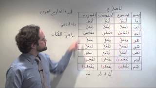 Arabic Grammar Negating Past Actions in Modern Standard Arabic using Lam لم [upl. by Salmon533]