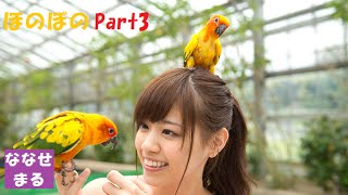 乃木坂46 ほのぼのなぁちゃん特集 Part3 【西野七瀬】 [upl. by Eilojne761]