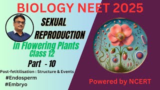 NCERT Class 12  Endosperm and embryo  Post  fertilization  Structure amp Development [upl. by Tehr]