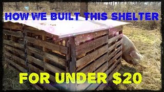 Pig Shelter Build For Under 20 [upl. by Gilda691]