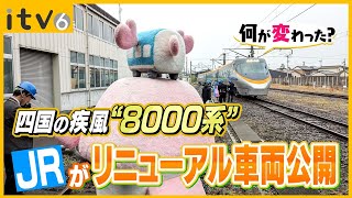 デビューから30年…何が変わったの？ JR四国の特急電車8000系リニューアル [upl. by Charita]