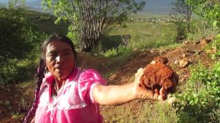 Como Hacer una Olla en San Marcos Tlapazola [upl. by Etsyrk]