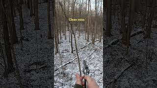 PA deer season 2024 filling my antlerless tag with the 44 revolver [upl. by Akehsal]