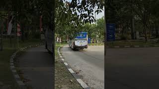 Bus PMH amp Aerobus keluar peron terminal huntingbus [upl. by Nolyk]