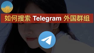 【2024最新】如何搜索 Telegram 外国群组？2个方法让你找到电报（TG）的外国群组和频道｜Telegram群组｜电报群｜电报群组搜索｜数字牧民LC [upl. by Ennirak]