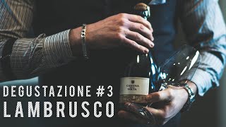 Degustazione Lambrusco 3  Cantina della Volta  Spumante quotRimossoquot 2016 [upl. by Enileuqaj319]