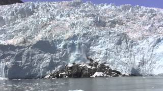 Kenai Fjords Tours Alaskas  1 Wildlife and Glacier Cruise [upl. by Meredeth461]