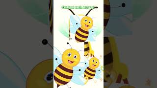 Cute Honey bee animmal honey funny cute shortsfeed shorts short [upl. by Sedicla29]