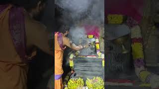 Karthika masam masa Shivaratri Sri arakewshara Swamy vaari ki panchamrutlatho rudrabhishekam [upl. by Yrome709]