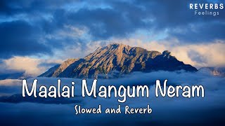 Malai Mangum Neram  Slowed and Reverb  Rowthiram Tamil Movie  Jiiva  Shriya  Prakash Nikki [upl. by Lletnahs]