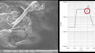 Charge Compensation inside an SEM using the GISEM [upl. by Earlie]