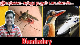 Biomimicry Explain in Tamil  Biomimicry Examples in Tamil  Tamil  ART Tamil [upl. by Seaman]