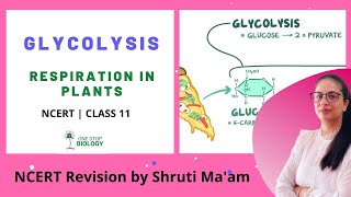 Glycolysis  Respiration In Plants  One Stop Biology  Shruti Maam  NCERT  Class 11  Chapter 14 [upl. by Tnarud]