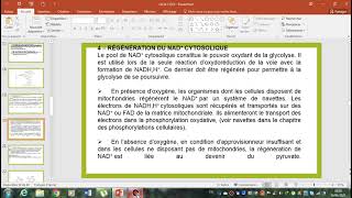 glycolyse partie 2 cours biochimie [upl. by Aihtebat]