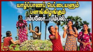 🔴பனங்கிழங்கும் யாழ்ப்பாணத்து பெட்டைகளும்🤭🤭  Palmyra Sprout  chummaorutrip [upl. by Klein887]