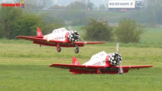 BIG RUMBLING RADIALS  CARF Models  ProWing 2023 [upl. by Adnaral301]