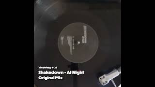 Shakedown  At Night Original Mix [upl. by Kcoj]