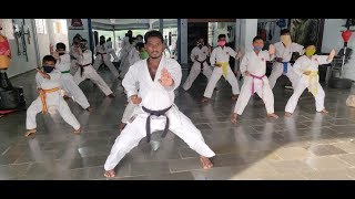 Live karate class  SS karate amp gymnastics [upl. by Amrac]