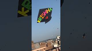 Kite flying video🪁 Patang bazzi 😍kiteflying kites patang patangbazi viral [upl. by Resay]