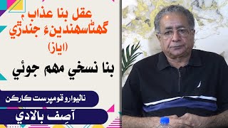 Asif Baladi  Adventurism  Leader TV [upl. by Dorree]