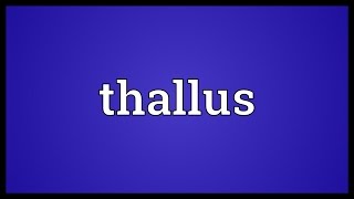 Thallus Meaning [upl. by Akemehc]