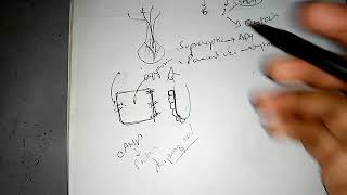 PITUTARY GLAND with HORMONES PHYSIOLOGY ch 76 guyton fast and easy review part 5 [upl. by Curhan]