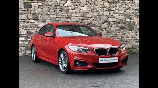 BMW 2 SERIES 225d M Sport Coupe Auto [upl. by Riem]